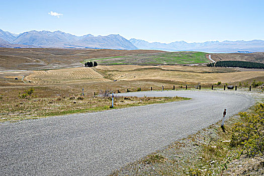 道路,靠近,草场,夏天,新西兰