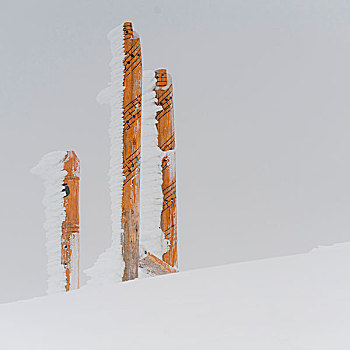 积雪,木质,柱子,交响乐,圆形剧场,惠斯勒,不列颠哥伦比亚省,加拿大