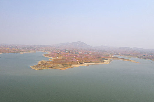 山东蒙阴乡村桃花