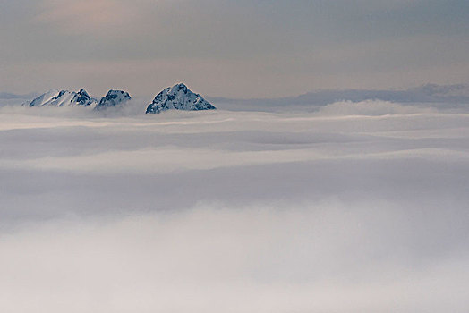 风景,山,巴伐利亚,上方,海洋,云