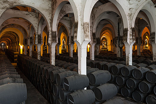 一堆,橡木桶,酒窖,葡萄酒厂,酒栈,卡迪兹,安达卢西亚,西班牙,欧洲