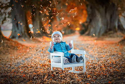 婴儿,秋叶,巴伐利亚