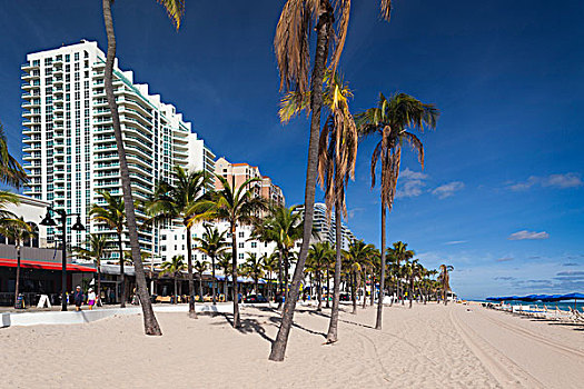 美国,佛罗里达,劳德代尔堡,海滩,高层建筑,建筑