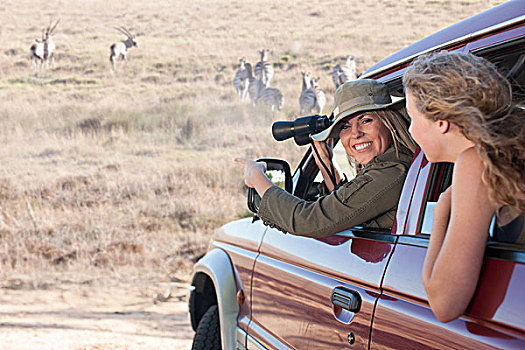 女人,看,斑马,交通工具,斯坦陵布什,南非