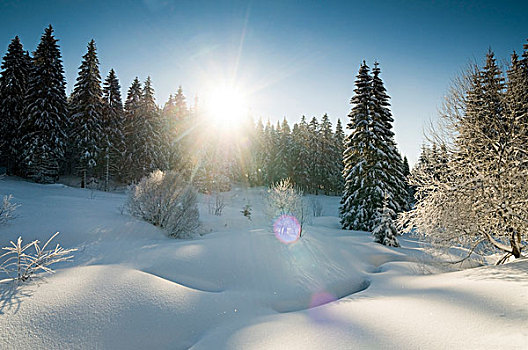 积雪,风景,山,布赖施高,巴登符腾堡,德国,欧洲
