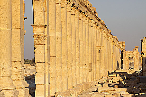 叙利亚帕尔米拉古遗址-石柱