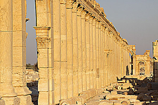 叙利亚帕尔米拉古遗址-石柱