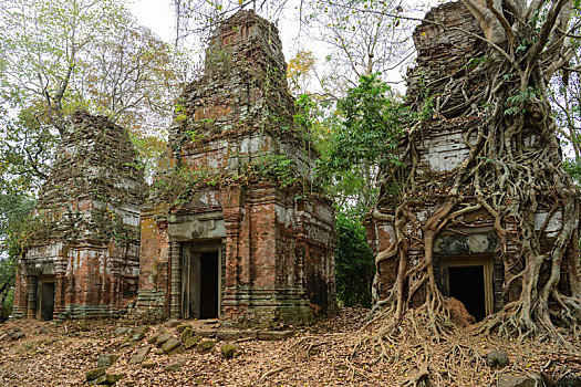 柬埔寨婴儿车寺建筑