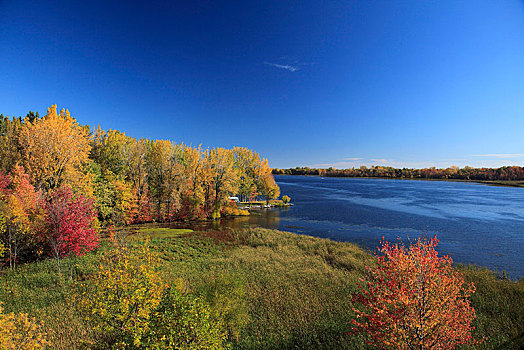 秋天,树,河,魁北克,加拿大,北美