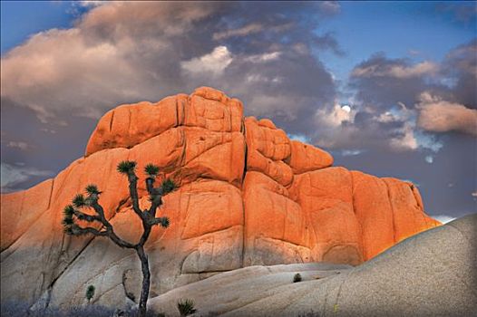 约书亚树,岩石构造,日落,约书亚树国家公园,加利福尼亚,美国