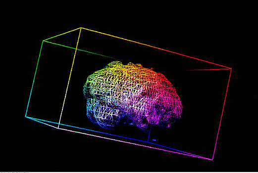 核磁共振成像,大脑,盒子