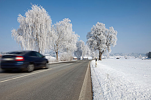 乡间小路,冬天,巴伐利亚,德国,欧洲