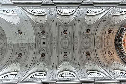天花板,拱形,大教堂,朝圣教堂,巴伐利亚,德国,欧洲