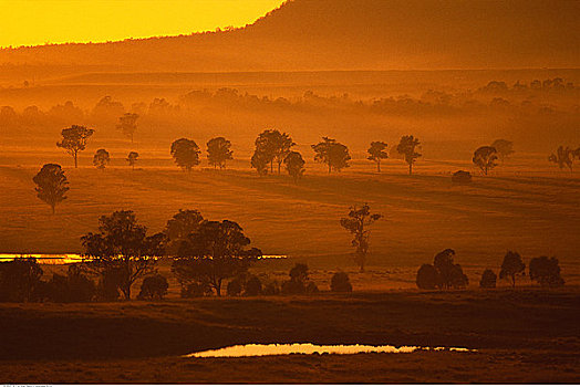 日落,上方,风景,新南威尔士,澳大利亚