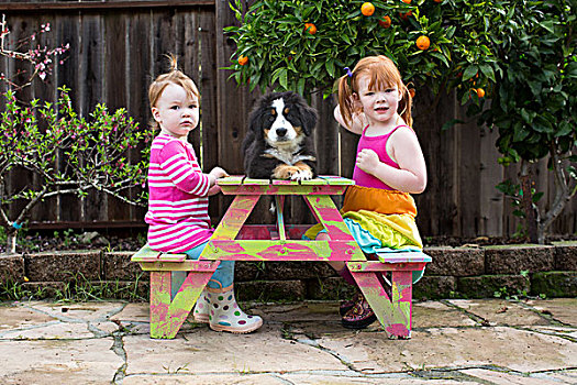 两个,孩子,姐妹,坐,园凳,宠物,狗