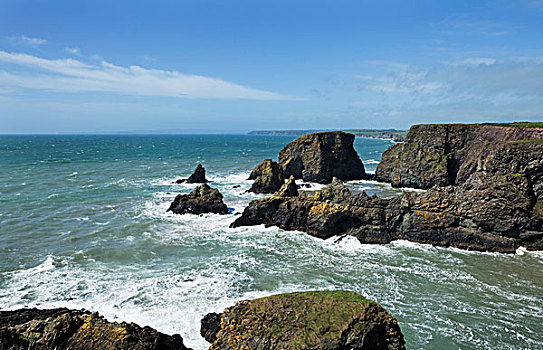 海岸线,铜,海岸,靠近,沃特福德郡,爱尔兰