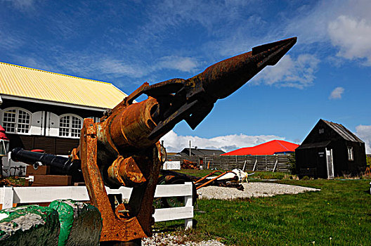 福克兰群岛,博物馆,捕鲸
