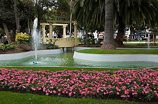 智利,南美,花,喷泉,广场