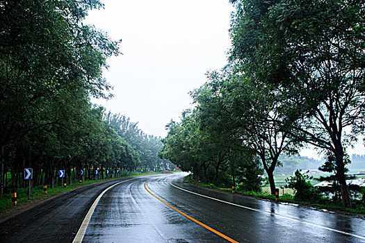 北京永定河左堤路,雨后路面