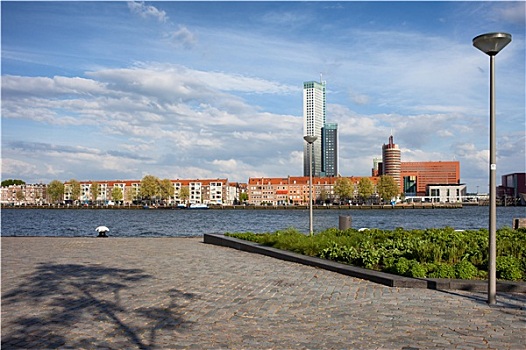 鹿特丹,天际线,河,散步场所