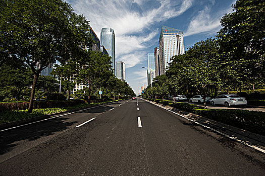 城市建筑与道路