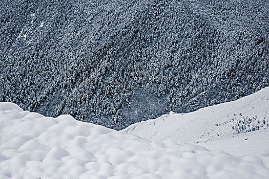 雪后山林