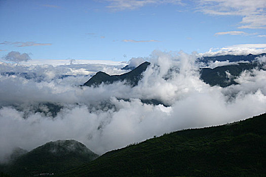 巫溪云台山清晨雨过天晴的云雾