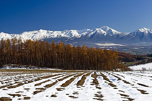 地点,十胜岳山,美瑛