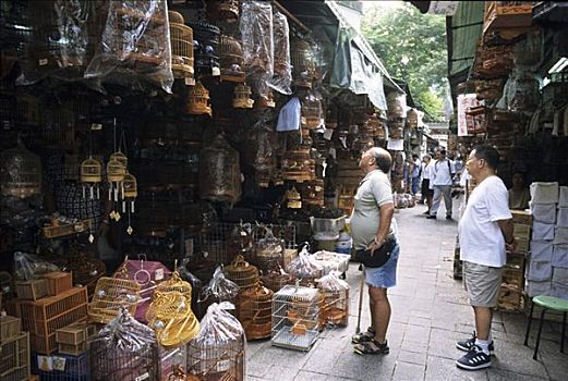 鸟,市场,旺角,九龙,香港,中国