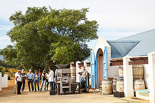 客人,站立,正面,葡萄酒厂,南非