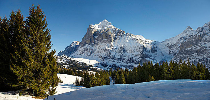 高山,斜坡,雪,看,贝塔峰,山,瑞士,欧洲