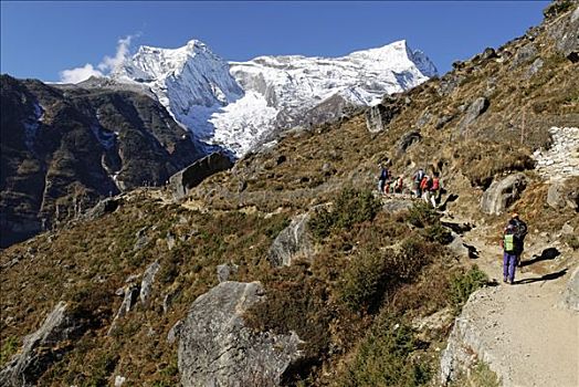 跋涉,山谷,正面,萨加玛塔国家公园,昆布,尼泊尔