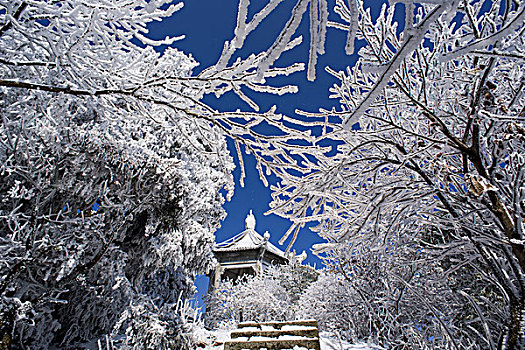 衡山冬景