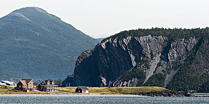 房子,悬崖,水边,湾,纽芬兰,拉布拉多犬,加拿大