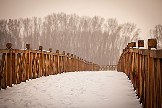 冬季木桥