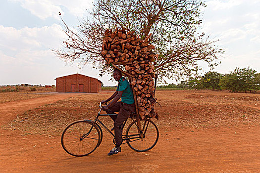 非洲,马拉维,利隆圭,地区,木头,自行车
