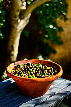 新鲜,收获,橄榄,赤陶,碗,花园桌