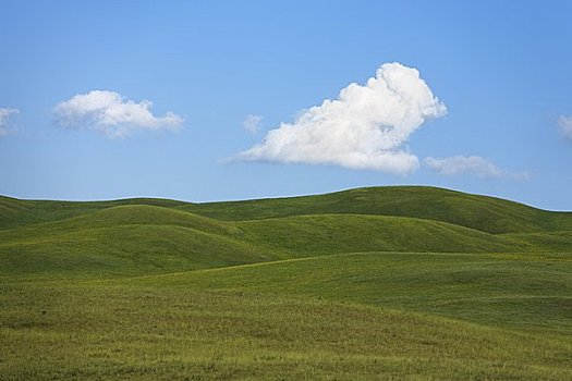 草地,内蒙古,中国