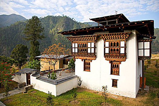 酒店,普那卡,不丹,英国,南亚