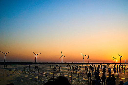 高美湿地