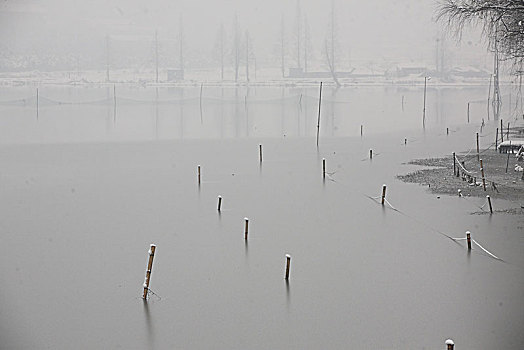 水面,宁静,水乡