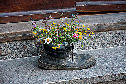 老,靴子,花,奎德琳堡,德国