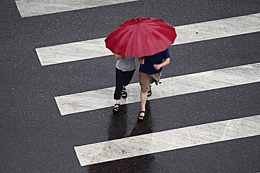 雨中行