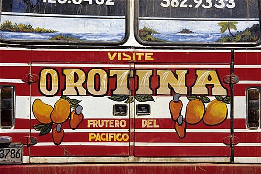 巴士,涂绘,热带水果,文字,公交车站,哥斯达黎加,太平洋,中美洲
