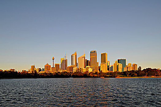天际线,悉尼,日出,电视塔,中央商务区,新南威尔士,澳大利亚