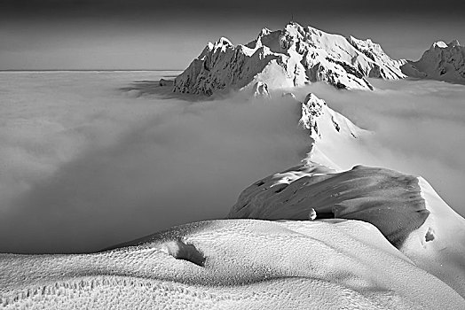 顶峰,冬天,高处,云,冬季风景,瑞士,欧洲
