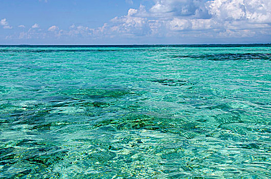 伯利兹,溪流,清晰,加勒比海,礁石,海岸,联合国教科文组织