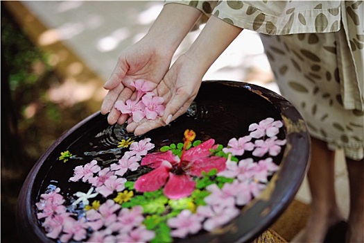 水杯,漂亮,花,背景