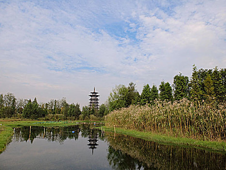 湖南省长沙市洋湖湿地公园－白鹭塔