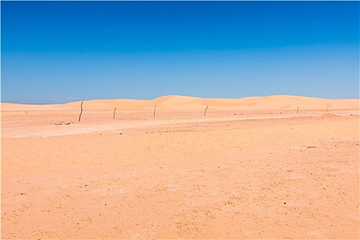 沙丘,撒哈拉沙漠,靠近,托泽尔,突尼斯